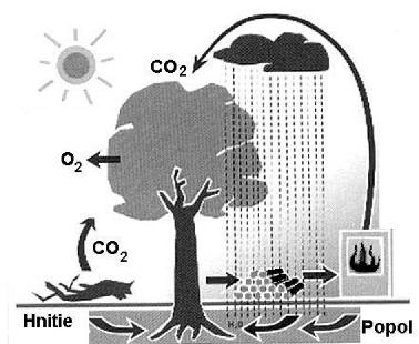4. Čo vysvetľuje obrázok? a/ kyslé dažde b/ skleníkový efekt 5. Prečo spaľujeme fosílne palivá? a/ na výrobu energie b/ na záchranu ľudstva c/ na pomoc prírode 6.