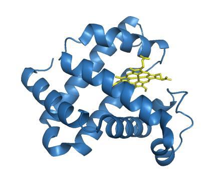 Terciární struktura proteinů -popisuje uspořádání celého