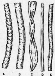 VLÁKNA - Vlastnosti - napětí v tahu, houževnatost (stiffness) - hustota nevazebných interakcí mezi řetězci - symetrie MM (lineární,