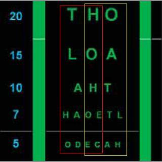 měření ověříme vízus bez předsádek a zeptáme se pacienta, zda vidí OXO s barevným proužkem nad a pod X. Poté si nasadí polarizační předsádky a opět zkontrolujeme, co vidí.