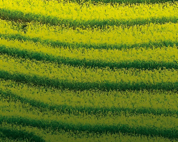 EKONOMIE, EKOLOGIE, EUDAIMONIA LIDSKÉ HODNOTY A PROBLÉMY