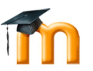 Začiatky e-learningu na FCHPT r. 2003-2004 e-learningová podpora predmetu LC zo základov automatizácie s využitím vlastného systému vytvoreného na ÚIAM r.