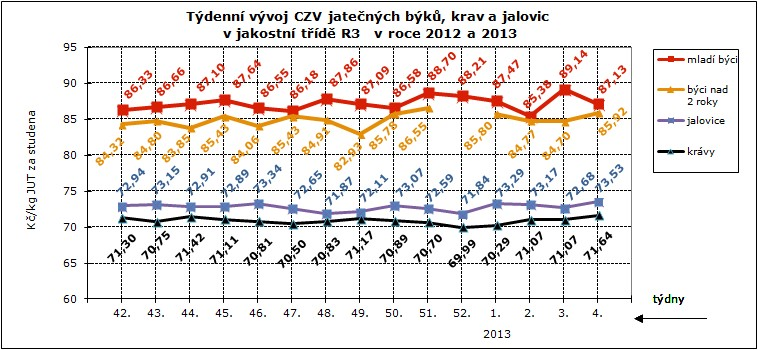 3.. týden 2013 CNY ZMĚDĚLSKÝCH VÝBCŮ ZNĚŽVÁNÍ S SKT CZV skotu za 3.