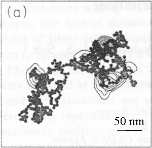 vlivem změny plasmonové extinkce splněna při vyšších excitačních vlnových délkách než pro hydrosolu s izolovanými nanočásticemi (~ 390 nm).