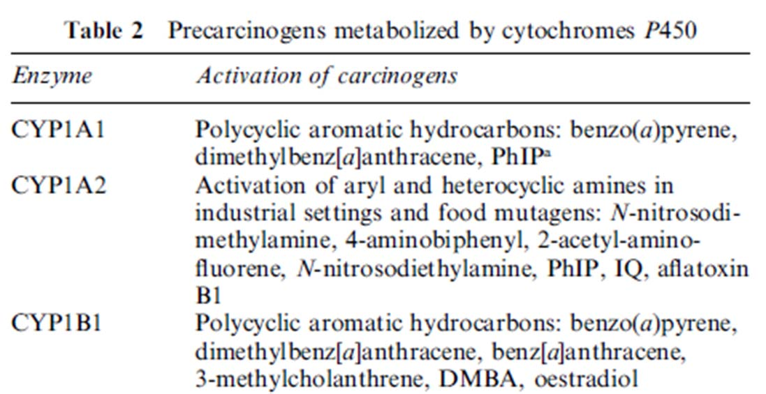 Cytochromy P450 rodiny 1 CYP1A1 CYP1A2 CYP1B1 metabolická aktivace ~ 50 % lidských karcinogenů CYP1C1, 1C2 ryby (ptáci?