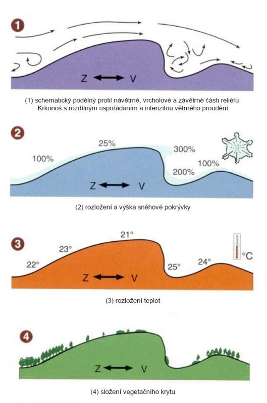 Anemoorografické systémy údolí se ZV orientací charakteristické gradienty klimatických a půdních poměrů Morfologie AO systémů: vodící návětrné