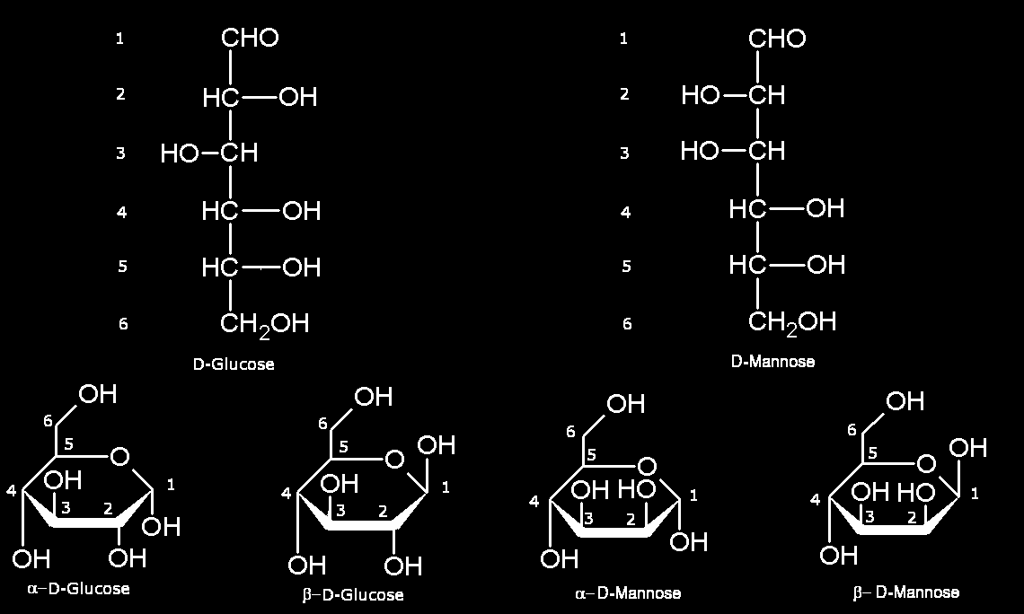 Epimery sacharidy lišící se konfigurací na jediném atomu uhlíku Cyklické struktury mají další centrum asymetrie na C1 - dvě anomerní formy α-