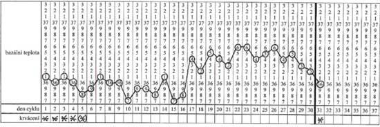 Měření bazální teploty Provádí se ideálně vždy ráno po probuzení, přímo v lůžku, stejným teploměrem. Důvodem tohoto měření je nejčastěji zjištění doby ovulace. Začínáme den po skončení menstruace.