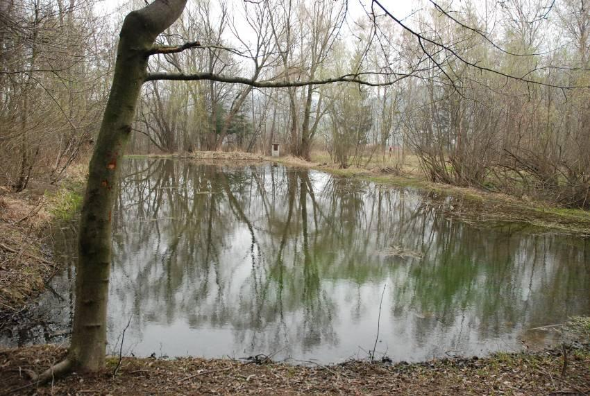 Plán péče o přírodní památku Chvalčov