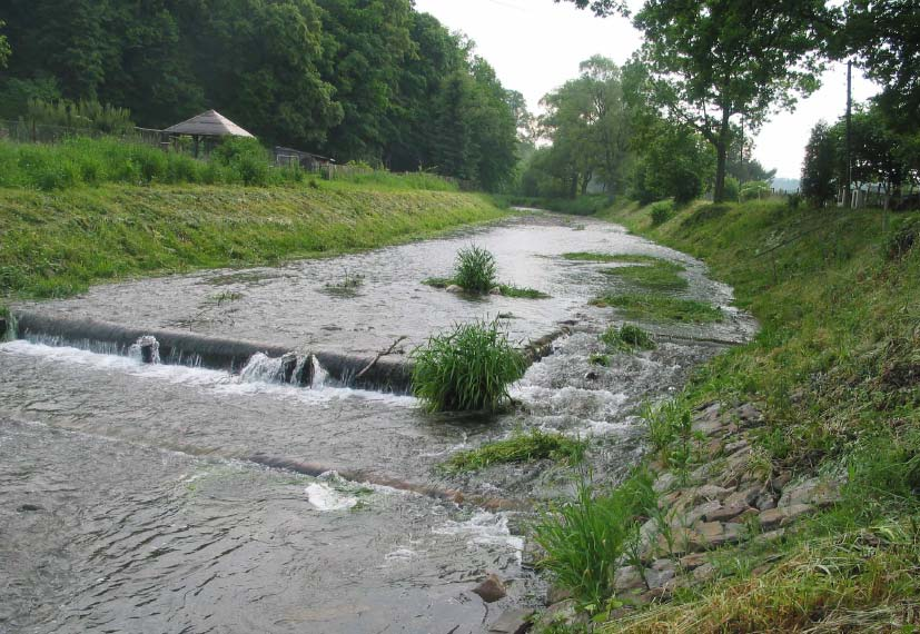 Migrační