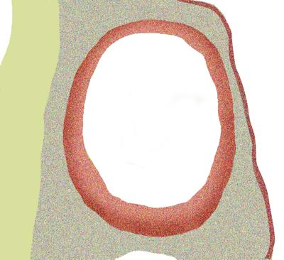 Mechanoreceptory Smyslové orgány obratlovců - vznik Z utriculu a sacculu vybíhá ductus endolymphaticus až pod lebeční klenbu (pod dura mater), po obou stranách