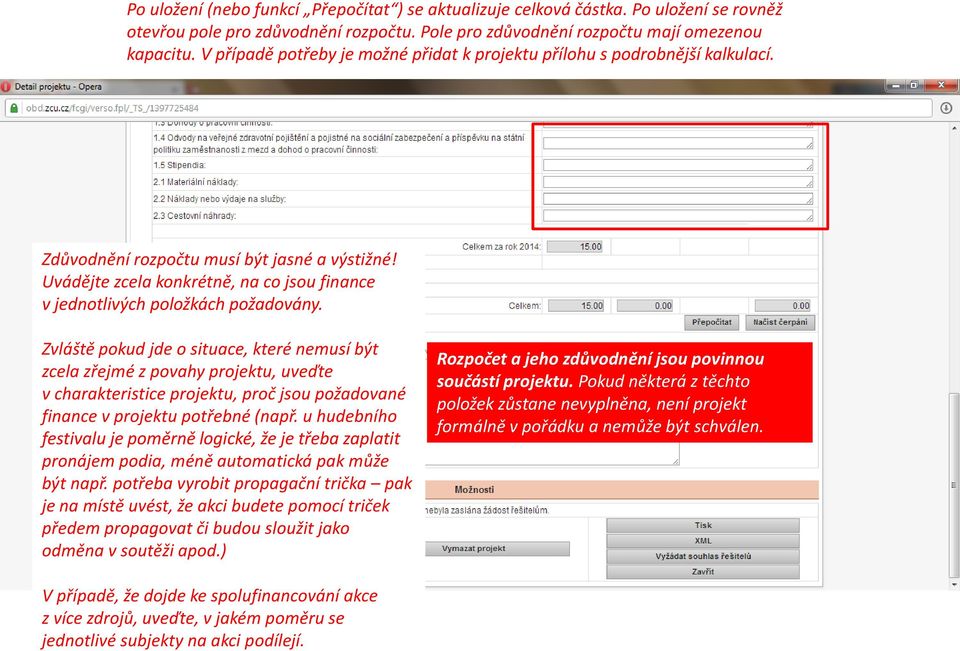 Uvádějte zcela konkrétně, na co jsou finance v jednotlivých položkách požadovány.