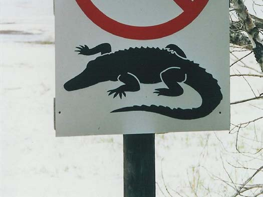 Na čem může spolupráce ztroskotat Nejasný cíl nevyjasněná očekávání nedostatek komunikace nerespektování dohodnutých