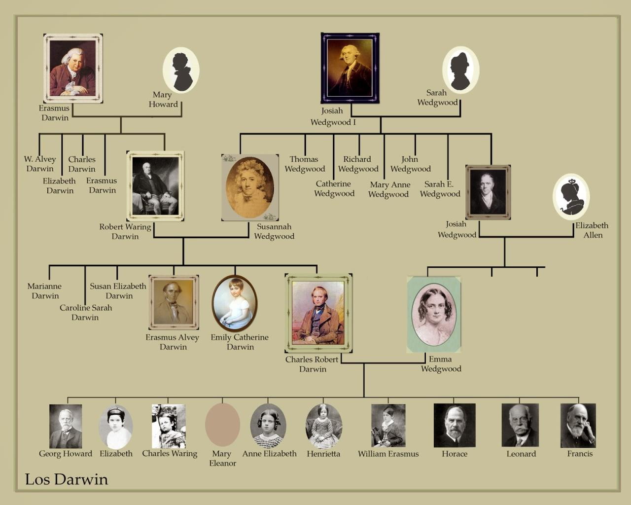 Genealogické tabulky, příklady Kombinace