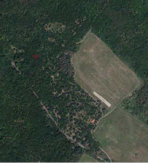 Obr. 2. Stav lokality v okolí ploch Hna:C a Hna:P v roce 2010. Křížek označuje přibližnou polohu plochy Hna:C. Zdroj: http://www.kontaminace.