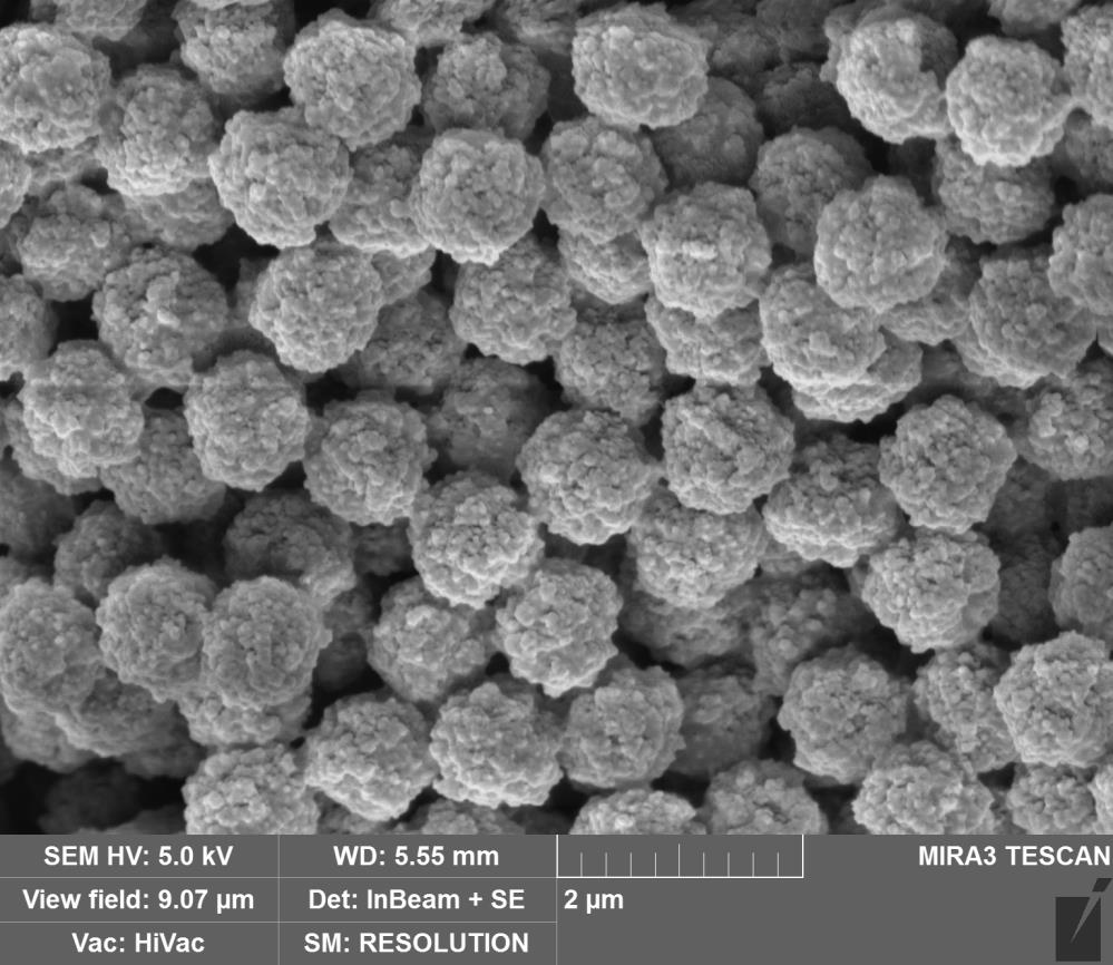 Imobilizace slepičích protilátek na povrch částic Přes tosyl-skupinu (sulfonyl ester) Interference s azidem sodným proti bakteriální kontaminaci Odstranění NaN 3 (centricon cut off 50 K)