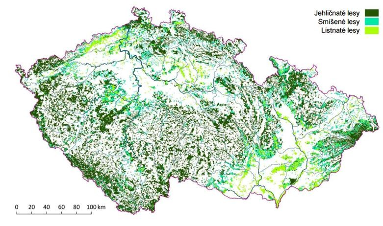 Lesy Plocha lesů: 34,9 %