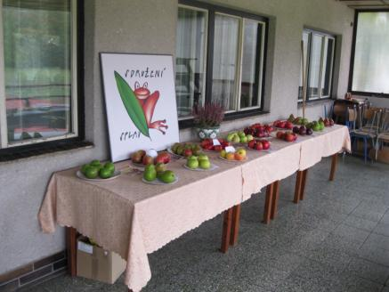 Obec Černíkovice společně se Sdružením Splav uspořádali již 4 ročník soutěže o nejlepší dobrotu z jablek.