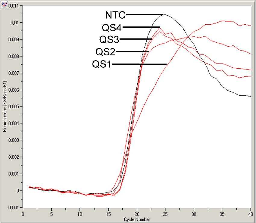 Obr. 8: Prkaz Kvantifikaních standard (EBV LC/RG/TM QS 1-4) ve fluorimetrickém kanálu F2/Back-F1. NTC: non-template control (negativní kontrola). Obr.
