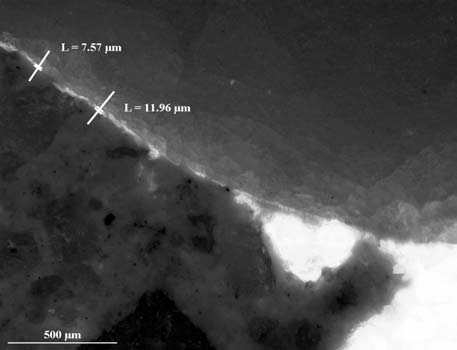 Injektážní hmota v jemných trhlinách Techniku fluorescenční mikroskopie lze s úspěchem využít také pro vizualizaci injektážního média v jemných trhlinách skalních hornin nebo stavebních hmot.