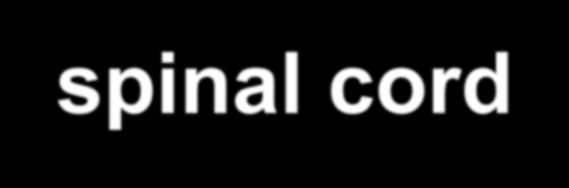 Central