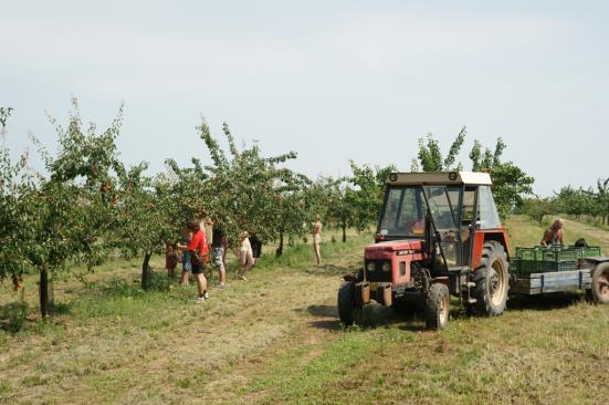 I. Zahradnictví Ovocný sad Zahradnické fakulty MENDELU s unikátní kolekcí meruněk a broskvoní. Součástí výuky je i praxe v areálu. Foto: archiv PR ZF MENDELU. ať správného či méně opodstatněného.