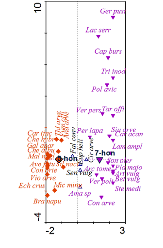 Obr. 1 Ordinační diagram vyjadřující vliv osevních postupů na jednotlivé druhy plevelů Vysvětlivky k ordinačnímu diagramu (Obr. 1), varianty osevních postupů: 5-hon 5-honný osevní postup, 7-hon.