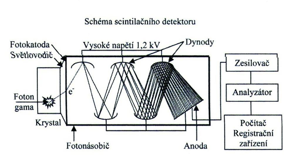 Obrázek 3 Fotonásobič (Zdroj: http://www.wikiskripta.eu/index.php/soubor:pmside2.