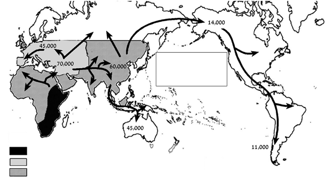 SAPIENS / OD ZVÍŘETE K BOŽSKÉMU JEDINCI Strážcem bratrů svých Kde žili první Homo sapiens?
