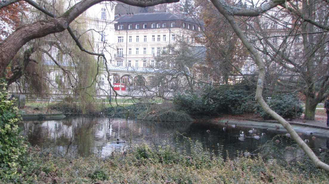 Městský park Dvořákovy sady Rozsáhlý lázeňský park s jezírkem je umístěn v centru města. Součástí parku je Sadová kolonáda a parku vévodí socha Antonína Dvořáka.