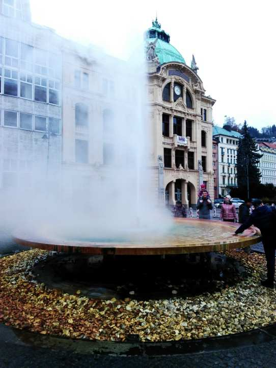 13. Lázeňský dům Purkyně, Tržiště 3, Karlovy Vary výměna výkladců, obnova parteru, návrat k historickému řešení. 14. Krále Jiřího 8, Karlovy Vary oprava terasy, dlažby, omítek a sanace venkovních zdí.