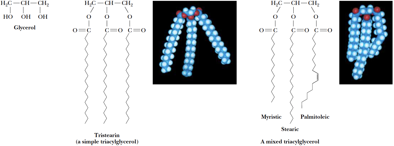 Triglyceroly (triglycidy) - Zmýdelnění reakce acylglycerolů s alkáliemi vzniká