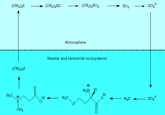 nukleační jádra DMS dimethylsulfid www.