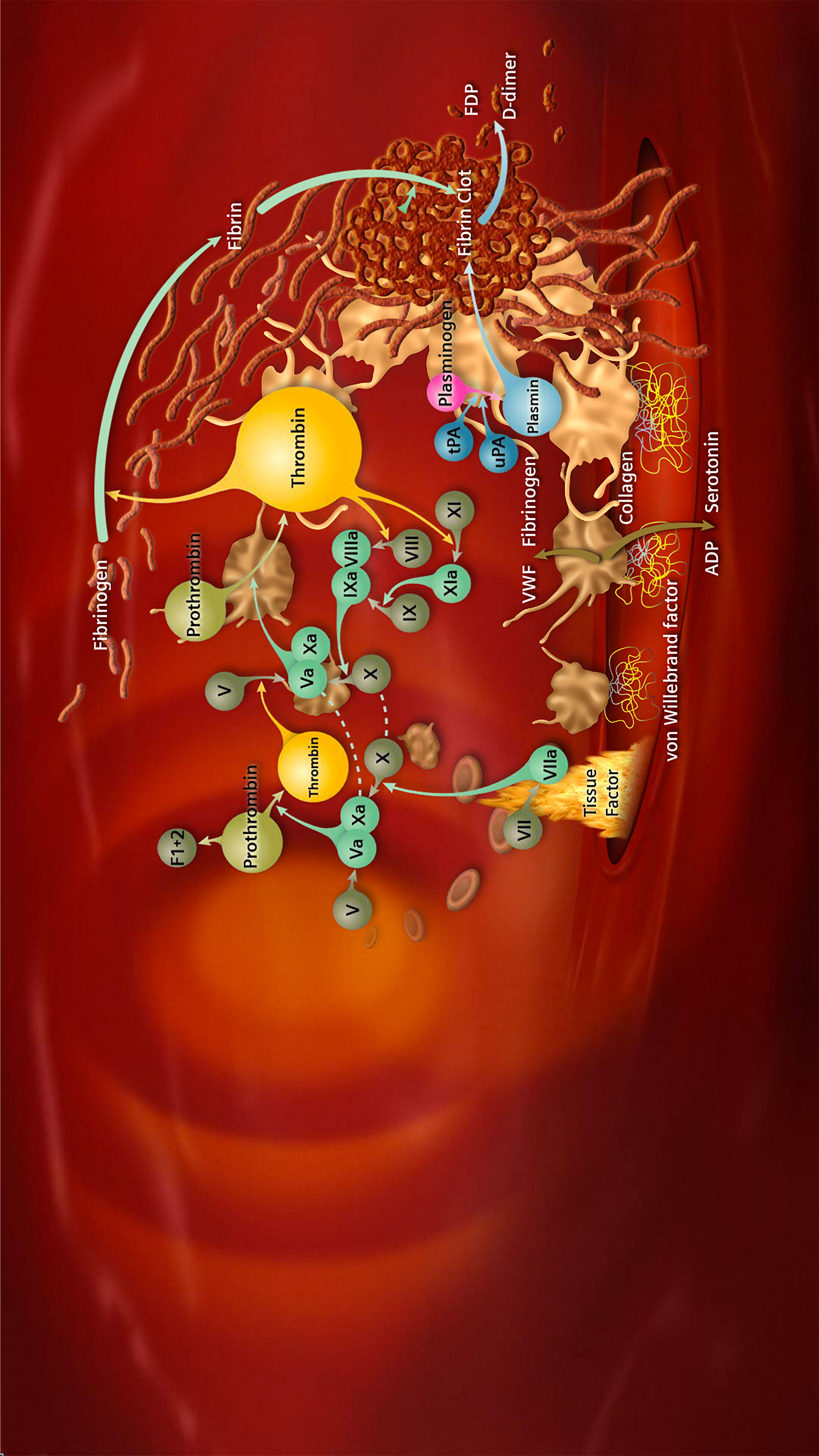 Pr ı loha 73 Pr ı loha 2 Photo courtesy of Siemens Healthcare Diagnostics.