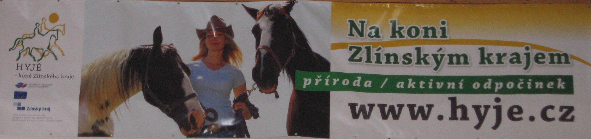 Výroční zpráva 2013 HYJÉ koně Zlínsk