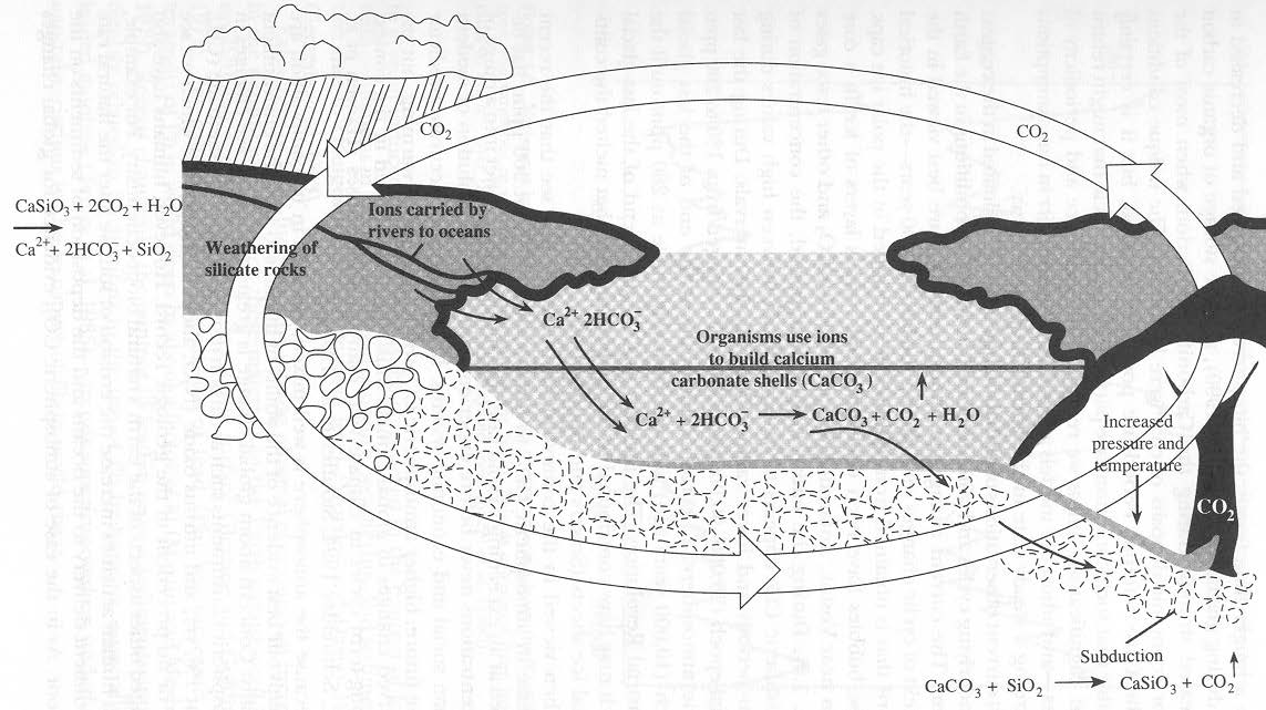 Vztah mezi křemičitanovými a uhličitanovými cykly na povrchu Země Dlouhodobé řízení atmosférického CO 2 je dosaženo rozpouštěním CO 2 v povrchových vodách a podílem na zvětrávání hornin.