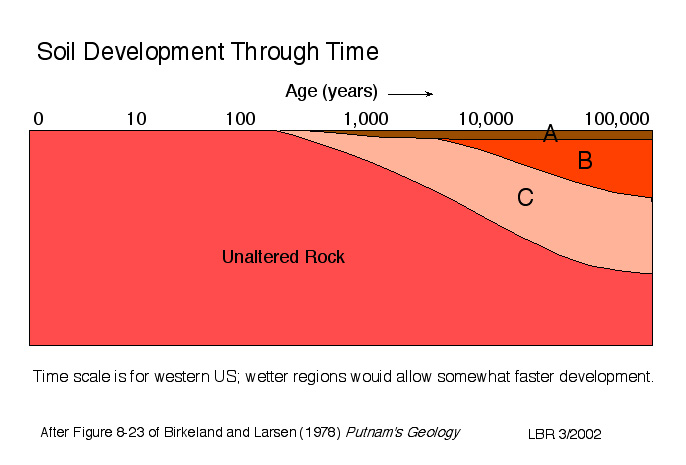 Vývoj půdy v čase Věk (roky) 0 10