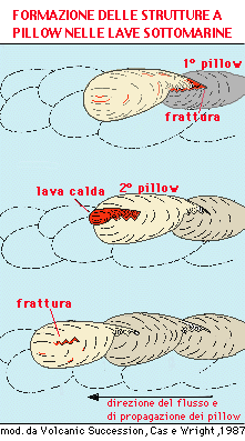 mandlovcovitá