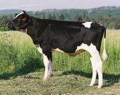 KARSH NEA 635 Dobronin Karsh ET CZ 540290061 *4. 7.