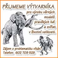 č 5008 / 1 září 2011 wwwinzertexprescz Strana 23 Zavedená firma přijme vyučené klempíře a pokrývače Nástup ihned ( 602 791 403, 602 703 289 Zedníky, obkladače ihned na ŽL, HPP Práce v Brně ( 725 633