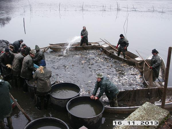 uskutečnil "Lampiónový průvod". Počasí předešlých dnů bylo nevyzpytatelné, měli jsme obavy, abychom nedopadli jako před dvěma roky, kdy jsme všichni zmokli tak, že přestaly fungovat i lampióny.