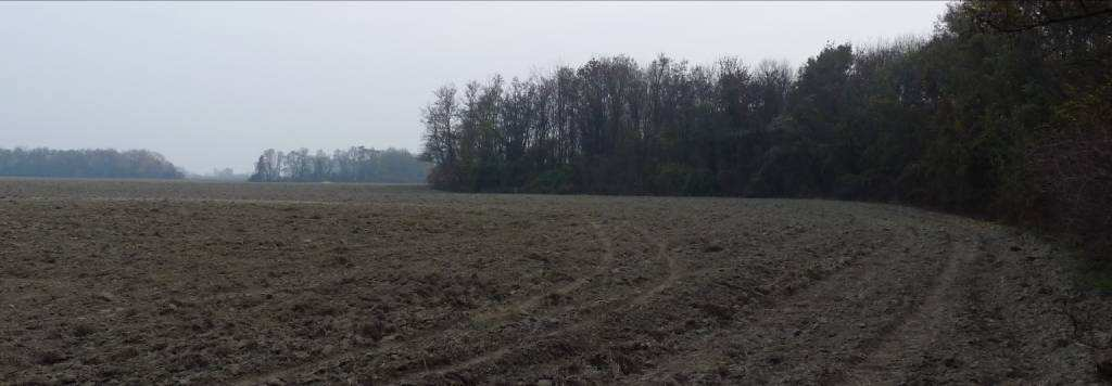 2.5. Kompenzačné opatrenie 5 objekt 075 (DÚR) Zabezpečí zatrávnenie pozemku na parcele registra C-KN č. 1099/3, 1099/6, 1099/9 a 1099/10 v katastrálnom území Kalinkovo, ktoré budú vykúpené NDS a.s., s cieľom vytvorenia trvalého trávnatého porastu.