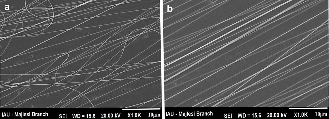 KOMBINACE ELEKTROSTATICKÉHO ZVLÁKŇOVÁNÍ A FORCESPINNIGU Scanning electron microscopy of nanofibers produced by