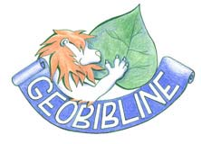 GEOBIBLINE : GEOGRAFICKÁ BIBLIOGRAFIE ČR ONLINE Eva Novotná, Geografická knihovna PřF UK Praha Motto: Od systematické práce na bibliografii české literatury geografické slibuji si mnoho a myslím, že