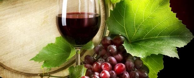Alibernet 0,75 l 2014 16,00 Červené, suché, akostné odrodové víno s prívlastkom výber z hrozna Nitrianska vinohradnícka oblasť Mohutne pôsobiace fialovo-bordové farebné odtiene.