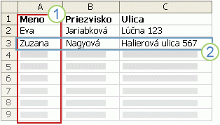 Pridanie zástupných symbolov polí hromadnej korešpondencie Zástupné znaky adries sa nazývajú polia hromadnej korešpondencie.