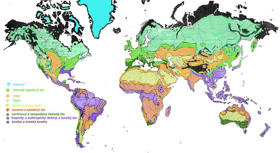 KLIMATICKÉ PÁSY ZONÁLNÍ BIOMY P
