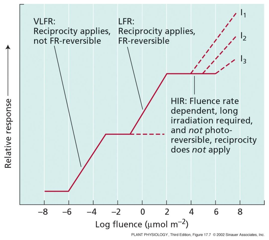 17 a) Very-low-fluence responses (VLFRs) (reakce k velmi slabé ozářenosti) Indukované ozářeností: 0.0001 mmol.m -2 ; saturace při 0.05 mmol.