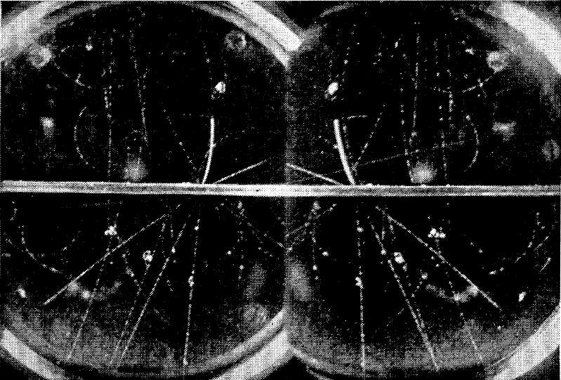 22 Mion Obrázek 4.1: Fotografie z Pike s Peak. Pole 7900 gauss (0.79 T). Interakce způsobená dopadem neionizujícího paprsku na olověnou desku. Z bodu interakce vyletuje 6 částic.