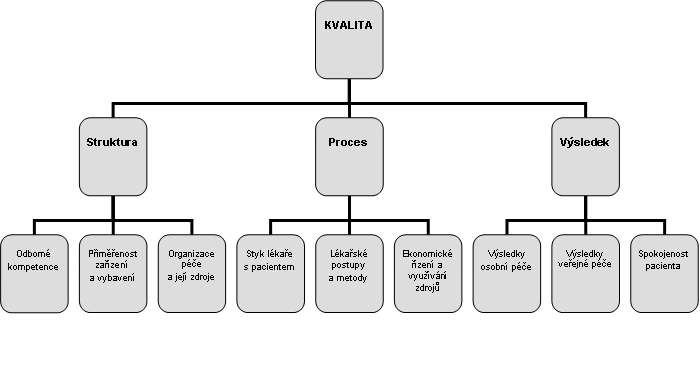 KAPITOLA 3: VÝSLEDKY ZDRAVOTNÍ PÉČE Obrázek 3-2: Donabedianovo schéma Zdroj: Gladkij, Heger, Strnad 1999 Struktura péče představuje odborné kvality pracovníků, odpovídající technické vybavení